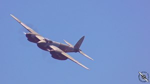 290K views · 12K reactions | Check out the beautiful Mosquito! This...