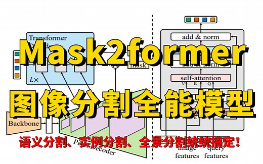 Mask2former—图像分割全能模型，语义分割、实例分割、全景分割一次性搞定！手把手带你玩转Mask2former图像分割模型！（深度学习/计算机视觉）