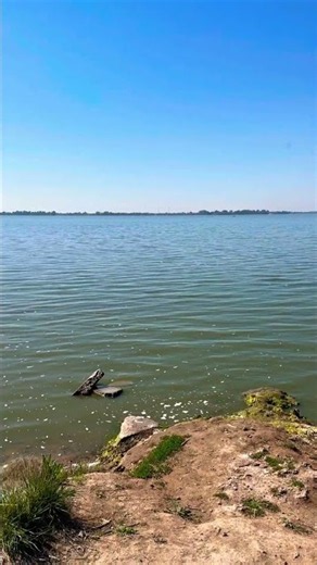 Está realmente muy tranquila y así parece la laguna de #chascomus #shorts #buenosaires #travel