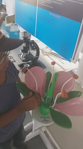 Listen to this Grade 3 child who did a fantastic presentation looking at the model of flower answering all the internal parts of flower so correctly at one go....awesome from Stepping Stone School. | Active Farm School | Facebook