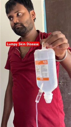 Lumpy skin disease || cow lumpy skin || LSD #lsd #lumpyskindisease #lumpydisease