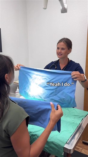 A Day in the Life of a Veterinarian