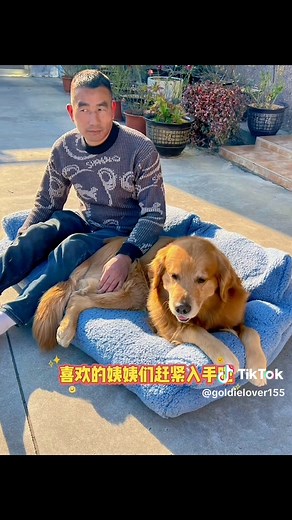 Mao Mao Fanart and Anime: A Celebration of Characters