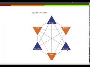 Business Analysis - Business Analysis core concept module (BABOK Chapter 2)