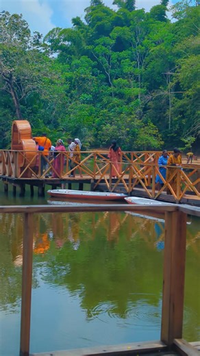 Discover the Biodiversity of Pugukazi Mzumbwi Forest Reserve