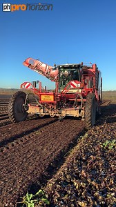 329K views · 7.7K reactions | Here is the harvest team with Beetroot UK, they are topping and lifting red beets with their Fendt tractor and 2 Grimme self propelled harvesters @ Beetroot UK #FarmingVideo #ProHorizon #RedBeet #harvest2022 | Pro Horizon Farming Content | Facebook
