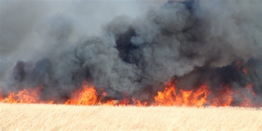 Sheriff’s office says brush fire is contained after 350 acres burned in Waushara County
