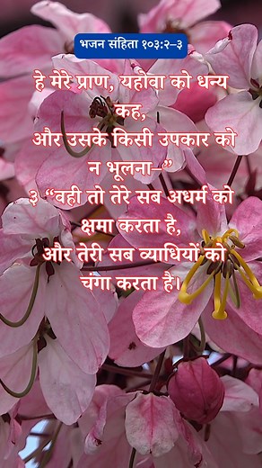 Daily Hindi Bible Verse ✝️🕊️🙏 . . . #hindibible #BibleVerse #Faith #hindi_bible #hindibibleverses | Hindi Christian Message