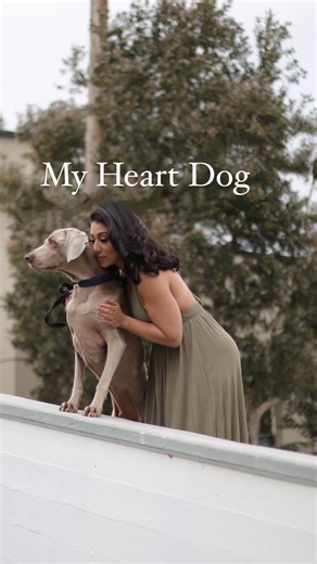 Stephanie Rodriguez on Instagram: "There will never be another one quite like Bruce. And I’m ok with that. Don’t get me wrong…there are a few right now that I have a very special bond with. But nothing like the dog that got me through my 20’s. He is one of the biggest reasons I started the rescue. I wanted everyone to experience this type of bond at least once in their life time. 💕🐶💕"