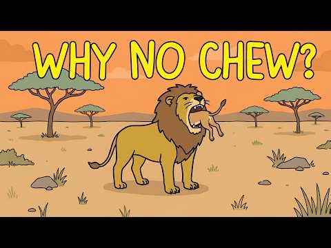 Why Do Predators Swallow Meat Whole?