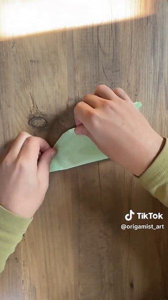 #origamitutorial #origami #origamichallenge #origamipaper #origamitiktok #origamiart #paperplane #origamistars