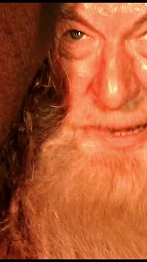 Vayanse tontos #lordoftherings #Balrogdemoria #Señordelosanillos #Gandalf #latino #Lasdostorres #movieclips #parati