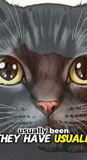 10 Subtle Signs Your Cat Is Silently Crying for Help