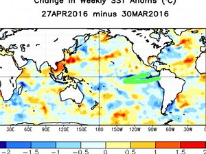 Your Morning Cup of Weather Joe - May 3, 2016 Rapidly cooling sea surface temperatures in the El Niño region will likely be a key factor in the upcoming hurricane season. | WeatherBELL Analytics LLC