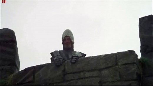 monty python and the holy grail 'Your mother was a hamster and your father smelt of elderberries!'