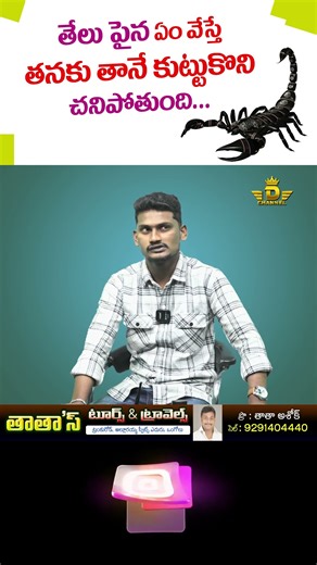 తేలు పైన ఏం వేస్తే తనకు తానే కుట్టుకొని చనిపోతుంది...?| D Channel Ongole