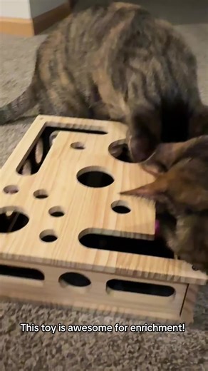Engaging Puzzle Toy for Cats: Keep Them Entertained!