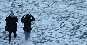 14 million Americans under winter weather alerts as cold, snow greet post-Thanksgiving travelers