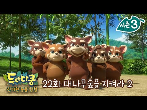 두다다쿵3 신기한 동물 탐험 | 22화 본편 | 대나무숲을 지켜라 2 | 자이언트판다 | 반전 매력 | Animation for Kids