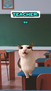 39K views · 1.2K reactions | This Kid Just Crack The Code  | (Extended Version) sounds: YT @Ryanhdlombard #reelsvideoシ #reelsfypシ #fb #cat #funnymemes | Shercat Holmes | Facebook