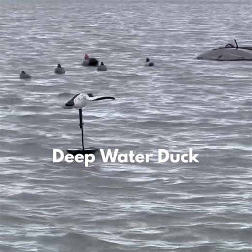 260K views · 2.6K reactions | Thanks to Brandon from Michigan Layout Addicts for the video of Deep Water Duck in action! | Deep Water Duck | Facebook