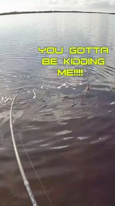 23K views · 172 reactions | TACKLE TIP ➡️ Match the Hook to the Lure to Increase Your Hook-Up Ratio ✅ When using a weedless setup, it is crucial to match the hook size to the lure size. If you’re using a hook that is too small for the soft plastic, there won’t be enough room for the hook to slide down and get a good hookset on the fish. Have you made this mistake? #fishingtips #fishingtackle #softplastics #artificiallures | Salt Strong | Facebook