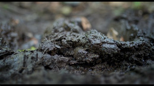 Watch Pole to Pole with Will Smith Season 1 Episode 1 The South Pole Online