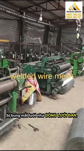 Lưới Inox Hàn Có Cắt Theo Kích Thước Được Không