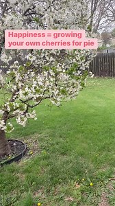 16K views · 91 reactions | It’s going to be a productive year for...