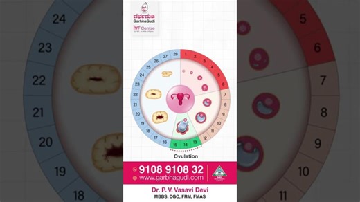 Fertile Window Explained | Best Time to Get Pregnant | GarbhaGudi IVF Centre