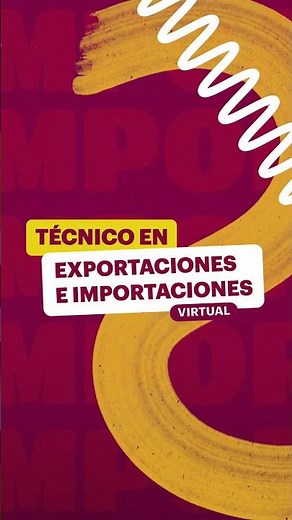 Técnico en Exportaciones e Importaciones