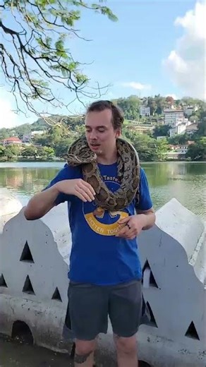 Experiencing Python, Kandy, Sri Lanka, One Life Adventures from Jeremiah C. 🇱🇰