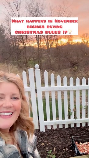 🪴TRACY~home & garden | Time for tulip bulbs🌷to go in and Christmas bulbs 💡to go up! 1400 we planted in my raised beds(thanks to Liz @cherryvalleygardens ) …and... | Instagram