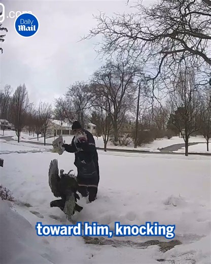 18K views · 197 reactions | Turkey 1 - Mailman 0!  | Daily Mail Video | Facebook