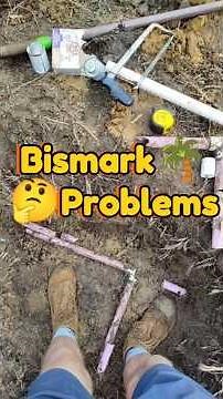 Planting Bismark Palm tree for Grandma + fixing irrigation zone & discussing common garden problems!