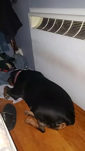 Matthew Mcdonald on TikTok