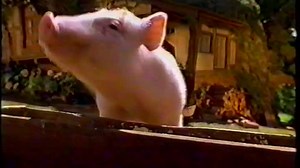 Babe (1995) VHS