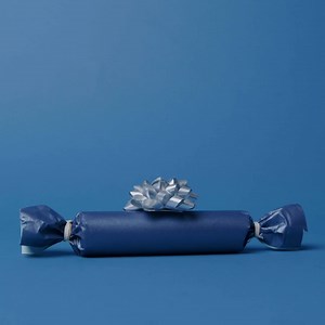 Our Root Touch-Up Refreshing Spray is the gift that keeps on giving  Fast drying coverage, water-resistant formula, easy 1-step application, and the list goes on and on! Comment a if you’re giving the gift of coverage on-the-go this holiday season! | Clairol | Facebook