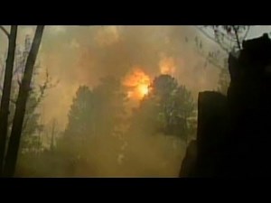 Agents: 2002 fire not heat of the moment