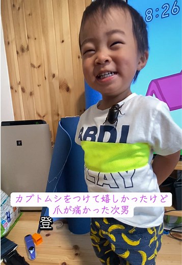 カブトムシの体験と育児の楽しみ