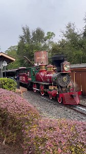 398K views · 5.6K reactions | Testing continues on the Walt Disney World RR with the Roy O. Disney train #DisneyParks #DisneyWorld50 | MickeyBlog.com | Facebook