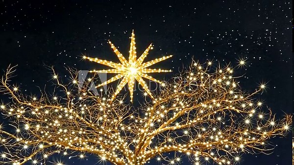 Christmas tree with star and fairy lights against starry night background