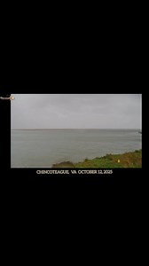 Chincoteague Island, Va October 12, 2025 Webcam from the southern point of the island at the Curtis Merrit Harbor. The inlet to the Chincoteague Bay The 9:45am Webcam view catching some dolphins as they move through the channel. Along with the cloudy, rainy, windy conditions along the coast. Assateague Island, the barrier island sits off to the east offering some storm protection from this particular spot. | Allegheny Mountains Weather