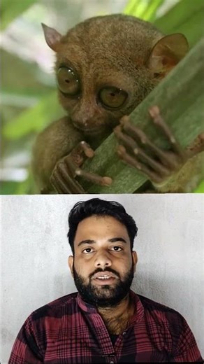 Animals That Cause Their OWN Death! Unbelievable Facts You Won’t Believe! | #AnimalFacts #shorts