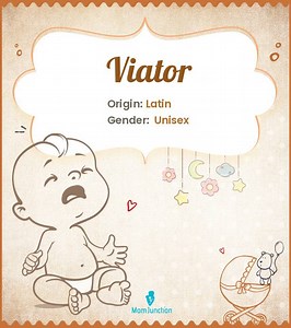 Viator Name Meaning, Origin, History, And Popularity