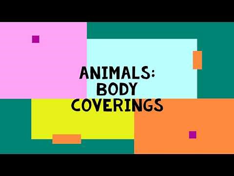 Animals: Body Covering