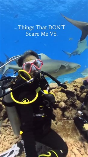 Plz lmk if anyone can relate… I am severely scared of: 1. Getting stuck in an elevator 2. Bathrooms with no openings and difficult locks 3. Losing my passport, Running out of passport pages, not being able to travel 4. …..honestly a bit scared to travel to the US right now. That’s about it! Here’s what I’m extremely NOT scared of, what about you? 1. Sharks 😻 2. Snakes, spiders, bugs etc (except mosquitos bc I’m allergic) 3. Traveling solo (145 countries and counting) 4. Not having a stable inco