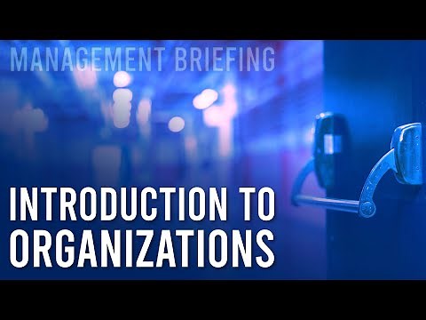 Essential Introduction to Organizations: What are they, really?