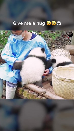 PANDAHOME on TikTok