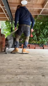 84K views · 1.4K reactions | Here is a short summary of the initial...